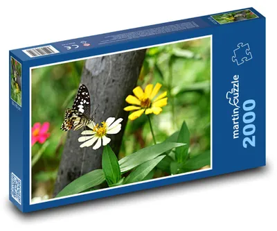 Obrázek produktu pro martinpuzzle - Puzzle 2000 - Motýl na květině