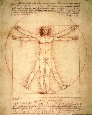 Zdjęcie produktu dla Leonardo Da Vinci Art Print Obraz - Człowiek witruwiański, około 1490 r. (50 x 40 cm)