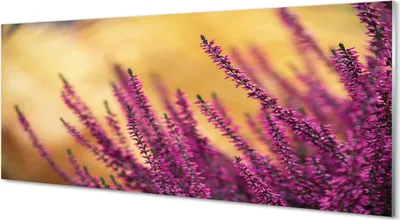 Produktbild von Glasbilder 125x50 Wandkunst Blumen