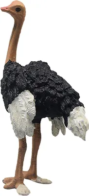 Immagine prodotto di Figura realistica di struzzo realistico apprendimento educativo Simulato animale selvatico figura giocattolo per ragazzi ragazze per ragazzi
