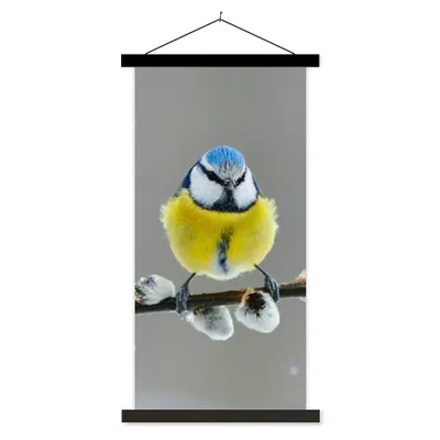 Produktbild von MuchoWow® Textilposter Blaumeise - Vogel - Zweig - Gelb - Blau 40x80 cm mit schwarzem Rahmen - Wandemalerei