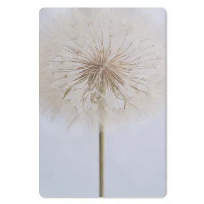 Produktbild von MuchoWow® Mauspad Mousepad Blumen - Löwenzahn - Entwurf 40x60 cm - Mousepads - Maus Mat - Pad - Mausunterlage - Schreibtisch Accesoire