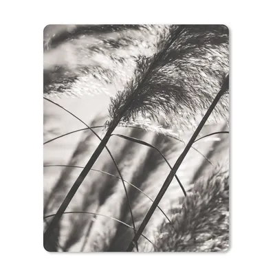 Produktbild von MuchoWow® Mauspad Mousepad Pampasgras - Schwarz - Weiß - Pflanze 19x23 cm - Mousepads - Maus Mat - Pad - Mausunterlage - Mauspads - Spielen