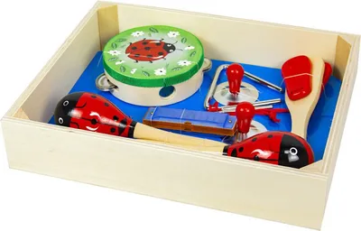 Produktbild von 4iQ Instrumentensatz aus Holz für Kinder 5in1 Marienkäfer