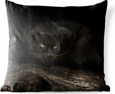 Produktbild von MuchoWow® Outdoor Kissen - Panther - Kofferraum - Schwarz - 60x60 cm - Wetterfest - Lounge Kissen - Dekoration - Schlaf Kissen