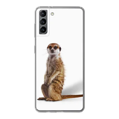 Produktbild von MuchoWow® Handyhülle Schutzhülle Hülle für Samsung Galaxy S21 Plus Erdmännchen - Tiere - Fell Silikon Softcase Handy Hülle - Handy-Tasche
