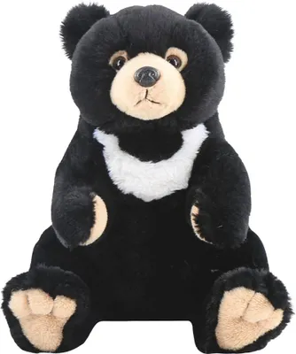 Image de Ours noir, 25 cm