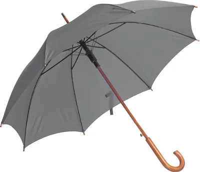 Produktbild von Automatik-Regenschirm / Farbe: grau/silbergrau