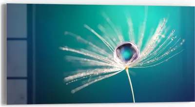 Produktbild von DEQORI Glasbild Echtglas 60x30 cm 'Inszenierte Wasserperle' Wandbild Bild modern Deko