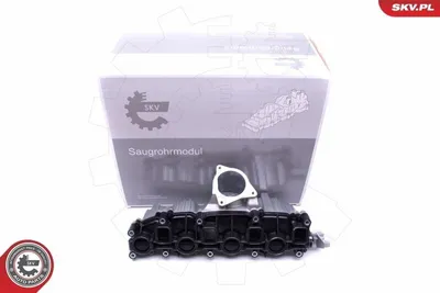 Immagine prodotto di ESEN SKV 49SKV006 - Collettore di aspirazione per VW GOLF VI (5K1), TIGUAN (5N), Passat Variant (3C5) e per AUDI A4 Avant (8K5, B8), A3 Sportback (8PA)