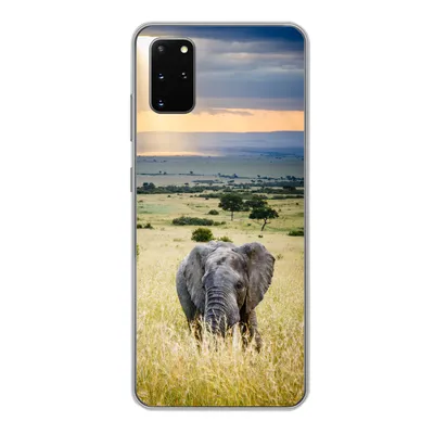 Produktbild von MuchoWow® Handyhülle Schutzhülle Hülle für Samsung Galaxy S20 Plus Elefant - Tiere - Landschaft - Sonne - Natur Silikon Softcase Handy Hülle - Hartschale