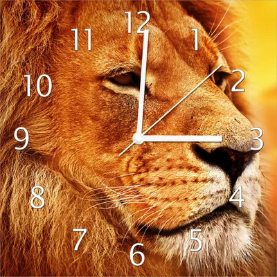 A close-up of a lion's face with a clock superimposed.