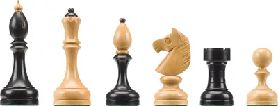Image de Pièces d'échecs en bois DGT "Club tchèque" pour échiquiers électroniques