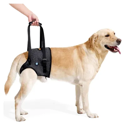 Produktbild von Hundegeschirr für die Hinterbeine, Stützgeschirr für kleine, mittlere und große Hunde, Dunkelgrau, XL