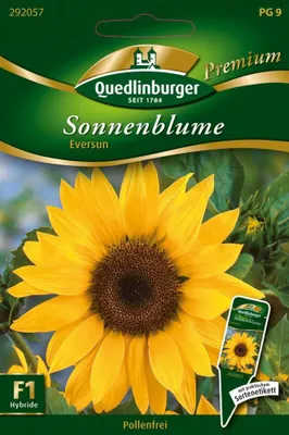 Zdjęcie produktu dla Quedlinburger Saatgut - Słonecznik Eversun - Nasiona - 292057