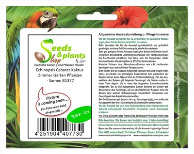 Produktbild von 10x Echinopsis Cabaret Kaktus Zimmer Garten Pflanzen - Samen B1377