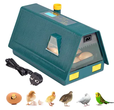 Brutmaschine 10-20 Eier, automatische Eierwende, Temperaturregelung