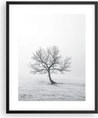 Produktbild von Gerahmtes Poster - Schwarzer Rahmen - Baum Feld Natur - 40x50 cm - Wand Bild - Wanddeko - Wandbilder - Kunstposter - Wandposter - Bilderrahmen - Bilder - Kunstdruck - Wandbild - P2BPA40x50-3683