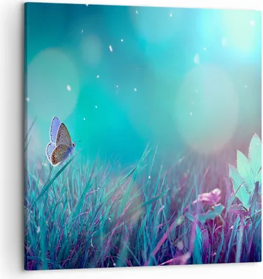 Produktbild von Bild auf Leinwand - Leinwandbild - Schmetterling Wiese Blume - 50x50cm - Wand Bild - Wanddeko - Leinwanddruck - Bilder - Kunstdruck - Wanddekoration - Leinwand bilder - Wandkunst - AC50x50-4077