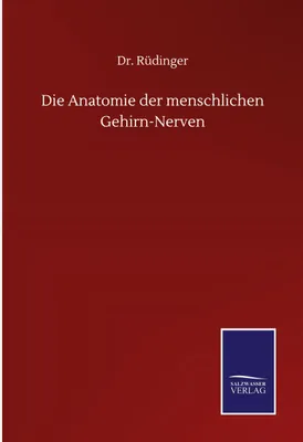 Produktbild von Die Anatomie der menschlichen Gehirn-Nerven