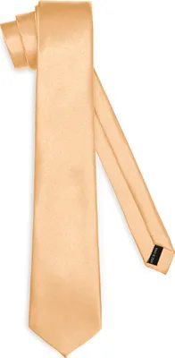 Produktbild von Klassische Herren Krawatte glänzend Vielfältige Farben TMS-8 150cmx8cm