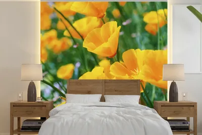 Produktbild von MuchoWow® Fototapete für Wohnzimmer oder Schlafzimmer Wandtapete Vinyl Motivtapete Blumen - Garten - Orange - 240x240 cm - Schlafzimmer-Tapete