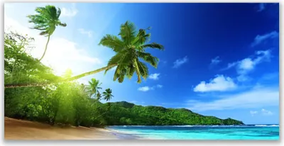 Produktbild von Tulup Leinwand-Bilder 140x70 Wandbild Canvas Kunstdruck Strand Meer Palmen Landschaft