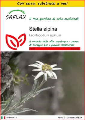 Immagine prodotto di SAFLAX Insieme di coltivazione - Stella alpina - 500 semi - Leontopodium