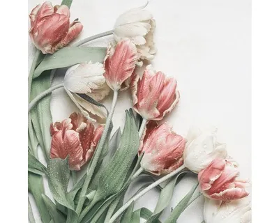 Produktbild von Glasbild Flower bed I 30x30 cm