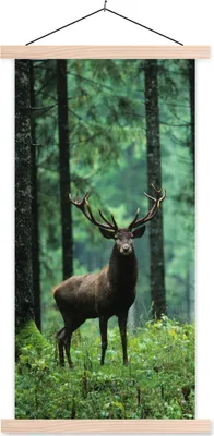 Produktbild von MuchoWow® Textilposter Hirsche - Wald - Bäume - Tiere - Natur 40x80 cm mit holzfarbenen Rahmen - Wohnzimmer