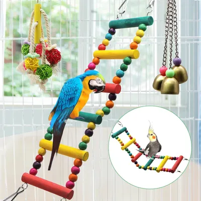 Produktbild von 14 Stück Vogel-Papagei Schaukel Holzleitern Hängematte - Spielzeug für kleine und mittelgroße Papageien Wellensittiche