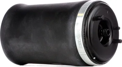 Produktbild von RIDEX 4119A0009 Luftfederung Luftfeder für BMW X5 (E53) Hinten Links