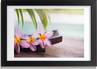 Produktbild von Bild 30x20 MDF-Rahmen, Wandkunst Plumeria