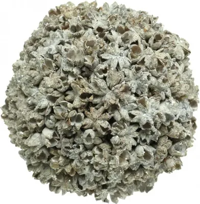 Produktbild von Weiße Weihnachtskugel 12cm Christbaumschmuck Schneeball