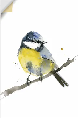 Produktbild von ARTland Wandbild, selbstklebend Aquarell Blaumeise Größe: 20x30 cm
