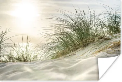 Produktbild von MuchoWow® Poster Dünen mit Strandhafer unter der Sonne des Nationalparks Schleswig-Holsteinisches Wattenmeer 120x80 cm - Bilder