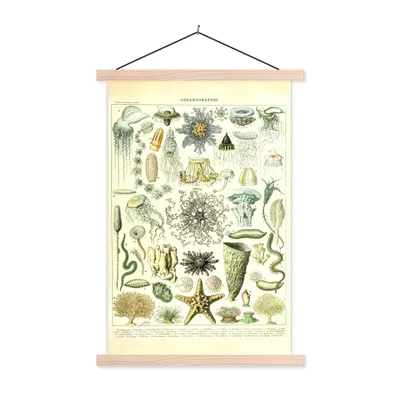 Produktbild von MuchoWow® Textilposter Meerestiere - Seesterne - Quallen 120x180 cm mit holzfarbenen Rahmen - Textil-Plakat