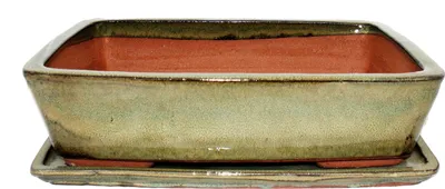 Image de bol bonsaï avec soucoupe taille 5 -  rectangulaire g30 - brun olive - l 32cm - b 24,5cm - h 8cm