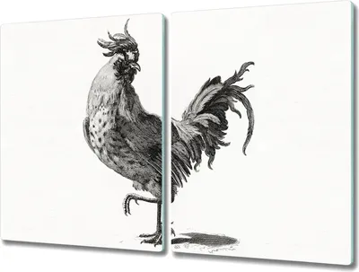 Produktbild von Coloray Schneidebrett Herdabdeckplatte 2x40x52 cm Kochplattenabdeckung Hackbrett Küchenbrett - Tier Vogel Huhn