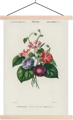 Produktbild von MuchoWow® Textilposter Blumen - Vintage - Blatt 40x60 cm mit holzfarbenen Rahmen - Poster