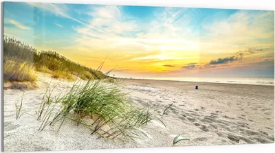 Produktbild von DEQORI Magnettafel Glas 100x50 cm 'Baltischer Dünenstrand' beschreibbar Whiteboard
