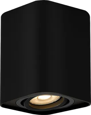Image de Rabalux 2049 Projecteur de plafond 1 spot Kobald, GU10, aluminium, noir, minimal, IP20, 9x9cm