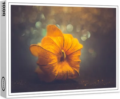 Image de puzzle premium raxxa "Bokeh", 1000 pièces