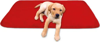 Immagine prodotto di Coperta in lana d'agnello, dimensioni: 70x100cm, colore: rosso