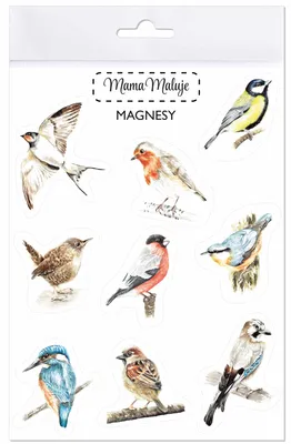 Produktbild von Set Magnete "Vögel" – Handgemalte Aquarelldesigns