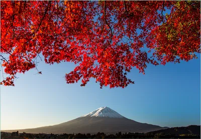Produktbild von Wallario Fototapete Vliestapete, seidenmatte Oberfläche, einfache Verarbeitung, Größe 300 x 210 cm, Motiv Vulkanpanorama im Herbst