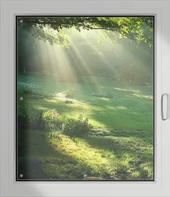 Produktbild von Wallario Lichtschutzbild, Dekorativer Sichtschutz Sonnenschutz 96 x 115 cm mit Motiv: Sonnenstrahlen im Wald - Verdunklung ohne Bohren