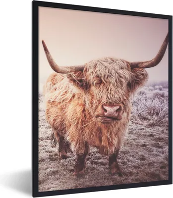 Produktbild von MuchoWow® Gerahmtes Poster Schottische Hochlandbewohner - Licht - Himmel - Natur 30x40 cm - Poster mit Schwarzem Bilderrahmen Wandposter Rahmen Foto Bilder - Wanddeko - Kunstdrucke