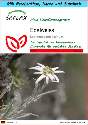 Produktbild von SAFLAX Geschenk Set - Edelweiss - Leontopodium alpinum - 500 Samen - Mit Geschenkbox, Versandaufkleber, Geschenkkarte und Anzuchtsubstrat