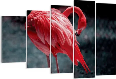 Produktbild von Bild auf Leinwand - Leinwandbild - 5 Teile - Flamingo Rosa Vogel - 150x100cm - Wand Bild - Wanddeko - Wandbilder - Leinwanddruck - Bilder - Wanddekoration - Leinwand bilder - Wandbild - EG150x100-4551